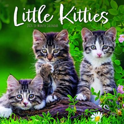 Kleine Kittens Kalender 2026 Kleine Kittens Kalender 2026