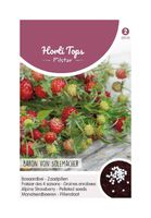 Pilstar Aardbeien Baron von Solemacher Pilstar Aardbeien Baron von Solemacher