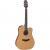 Takamine GD20CE-NS elektr.akoest. westerngitaar ceder top natural satin