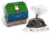 Nijntje Minikas Aardbei - Kweek je eigen aardbeien met Nijntje! 🍓