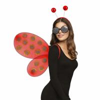 Boland Lieveheersbeestje set - rood - volwassen - carnavalsaccessoires