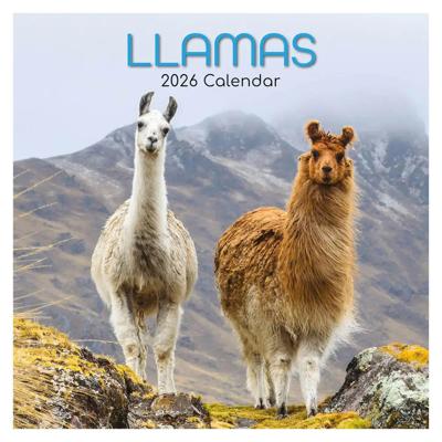 Lama's Kalender 2026