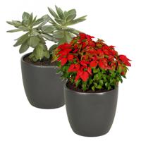 2x stuks bloempot mat antraciet grijs keramiek voor kamerplant H13.5 x D15.5 cm - thumbnail