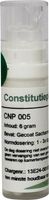 CNP05 Aurum Constitutieplex