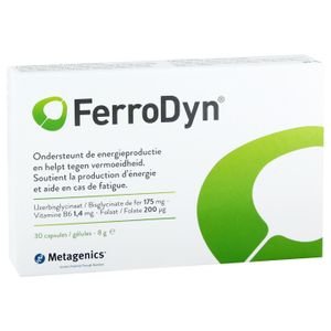 FerroDyn