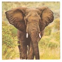 Esschert Design Servetten - 40x - Olifant print - 33x33 cm - Afrika / safari thema - wegwerpservette