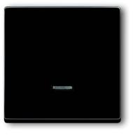 Busch-Jaeger 6543-81-101 Ingangsmodule Zonder opdruk Antraciet, Zwart-grijs 1 stuk(s)