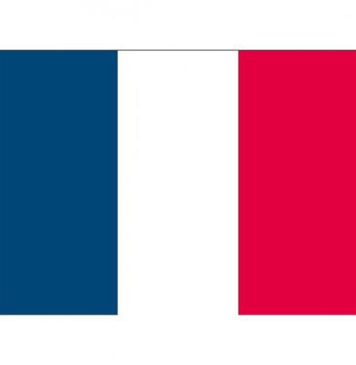 Vlag van Frankrijk stickers - 7 x 10 cm - La France - Franse vlaggetjes