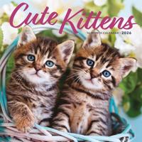 Schattige Kittens Kalender 2026