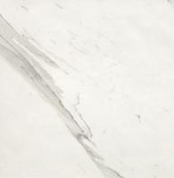 Roma Statuario vloertegel marmer look 60x60 cm wit zwart mat