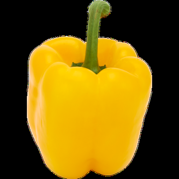 Jumbo Paprika Geel