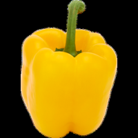 Jumbo Paprika Geel