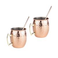 Set van 2x Cocktailbekers/cocktailglazen Moscow Mule - koper - 500 ml - met drinkrietjes