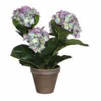 Decoratieve plant Mica Decorations Magnolia 35 x 40 cm