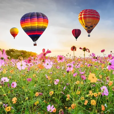 Anna&apos;s Collection tuinschilderij luchtballonnen 78x78cm multi
