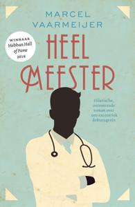 Heelmeester (Paperback)
