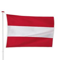 Vlag Gouda - thumbnail