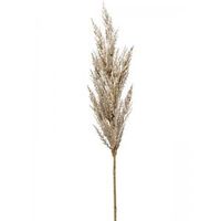 Grass Pampas Cream M 92 cm kunsttak per 1 stuks