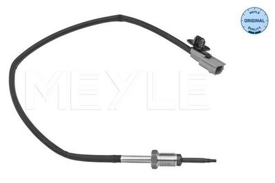 Sensor, uitlaatgastemperatuur 16148000028