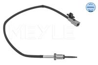 Sensor, uitlaatgastemperatuur 16148000028