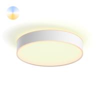 Philips PlafondlampHue Enrave M - White Ambiance Ø 38,1cm wit - 915005996601