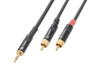 PD Connex Kabel 3.5 Stereo - 2xRCA Male 6m