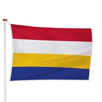 Vlag Renkum