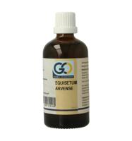 Equisetum arvense bio