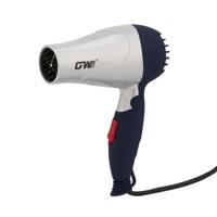 GW-555 220V draagbare mini haar blower opvouwbare reiziger huishoudelijke elektrische haardroger (zilver)