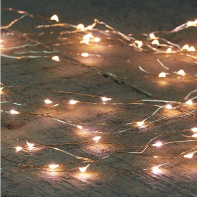 Anna's Collection draadverlichting - 100 leds - warm wit - 10 x 1 meter - timer - kerstverlichting Anna's Collection draadverlichting - 100 leds - warm wit - 10 x 1 meter - timer - kerstverlichting