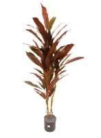 Dracaena rood 150 cm kunstplant Oosterik Home - Oosterik home