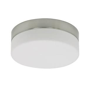 Steinhauer Ceiling and wall Plafondlamp RVS