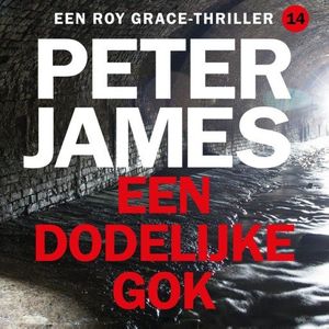 Een dodelijke gok