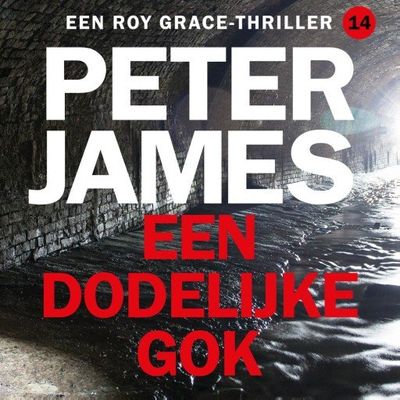Een dodelijke gok