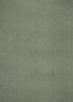 Karpet24 Loft - Luxe, Fluweelzacht Effen Vloerkleed in Donkergroen, Modern & Stijlvol-140 x 200 cm