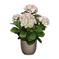 Hortensia kunstplant/kunstbloemen 45 cm - paars/groen - in pot taupe mat - thumbnail