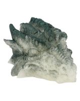 Kristallen Draken Schedel Seleniet Orgoniet - 10 cm