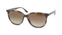 Unisex Leesbril RayBan | Sterkte: +0.00 | Kleur: Havanna