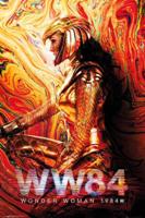 Poster Wonder Woman - 1984 One Sheet 61x91,5cm