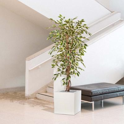 Ficus Hawai kunstboom 150cm