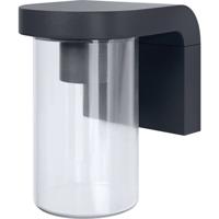 OSRAM HOMELIGHTING ENDURA Classic Cascade Wall E27 Clear 4099854461200 LED-buitenlamp (wand)