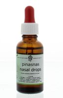 Pinasnas nasal drops