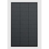 Set van 2 ECOFLOW OB03258 zonnepanelen - 2x 100 W - IP68 waterdichte classificatie - 23% rendement