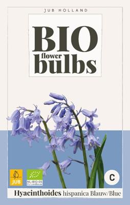 Hyacinthushoides hispanica Blauw - bio - Jub
