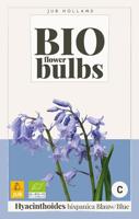 Hyacinthushoides hispanica Blauw - bio - Jub