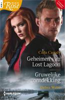 Geheimen van Lost Lagoon / Gruwelijke ontdekking - Carla Cassidy, Debra Webb - ebook