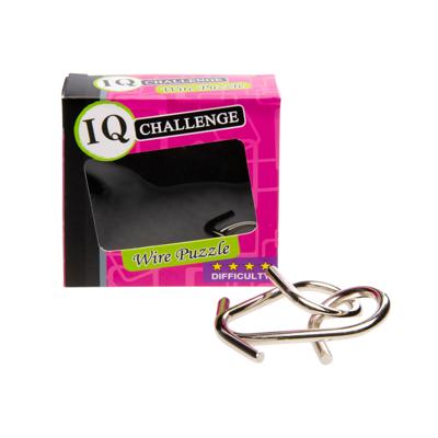 Duckiez Metalen iq puzzel
