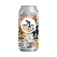 Lough Gill Pain & Perfection 44cl