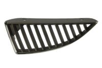 Radiateurgrille 6502073719993P