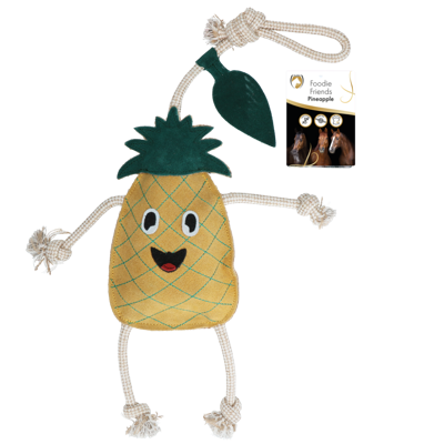 Excellent Horse Foodie Friends Pineapple Crackling